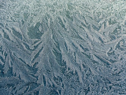 Frost pattern, ice flowers, ice crystals, structure, texture, background image