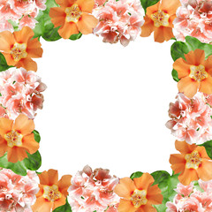 Beautiful floral background of pelargonium and purslane 