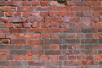 Fototapeta premium The image of a brick wall as a background. 13