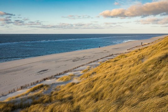 Evening at the sea, dunes with beach grass (Ammophila arenaria), west beach, Sylt, North Frisia, Schleswig-Holstein, Germany, Europe