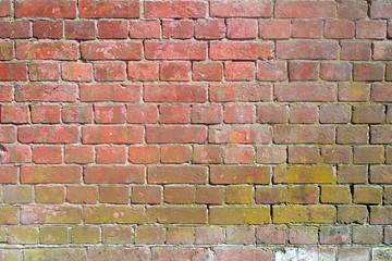 The image of a brick wall as a background. 14