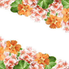 Beautiful floral background of pelargonium and purslane 