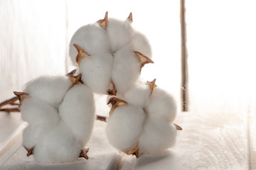 Cotton plant flower on white wooden background