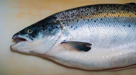 Sushi Set sashimi and sushi rolls served on stone slate