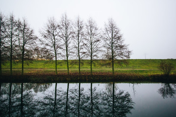 Bäume am Fluss beim trüben Wetter
