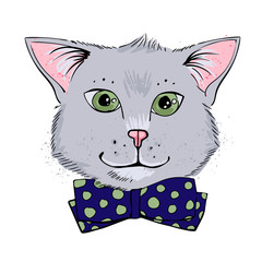 Cute little kitten in a bow tie, vector