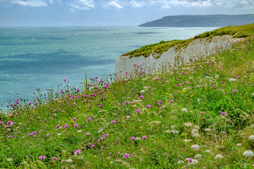 Culver downs Isle of Wight