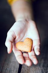 gingerbread in the hand