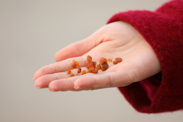 Amber pieces in the hand