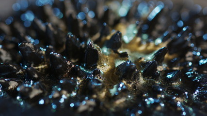 The natural phenomenon of magnetism ferrofluidic substances under the action of a neodymium magnet can create really impressive visual effects if examined under appropriate conditions.