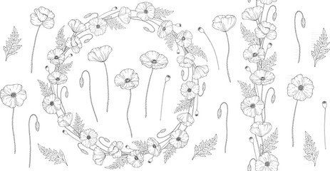 Poppy flowers. Papáver. Big set of elements for design. Seamless brush. Botanical wreath. Hand drawn vector illustration. Monochrome black and white ink sketch. Line art. Isolated on white background.