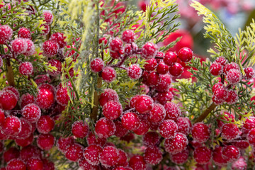 Branch of red beriies of viburnum in snow. Ice on red berries anf leaves. Merry Christmas decoration background. New Year greeting card. Ripe red berries in frost.