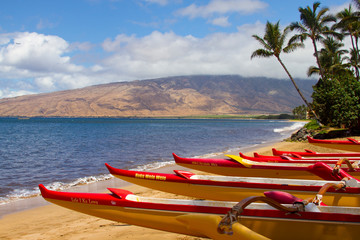 Maui outrigger boats