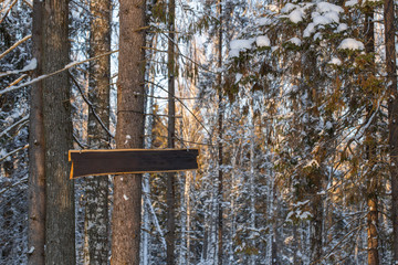 Blank label for text. Dawn frosty morning. Winter landscape of frosty trees, white snow and blue sky. Tranquil winter nature in sunlight in park