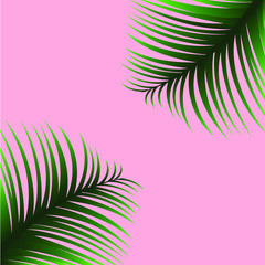 Fototapeta na wymiar Abstract pink background with tropical leaves 