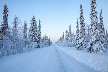 snowy road in winter forest