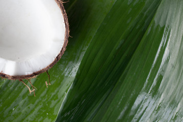 coconut