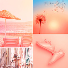 Collage aus vier Fotos in lebendiger Korallenfarbe. Trendfarbe des Jahres 2019. © Olga Zarytska