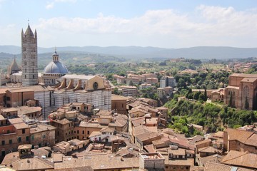 View from the Tower of Siena, Italy