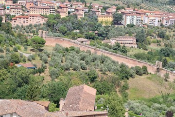 View from the Tower of Siena, Italy