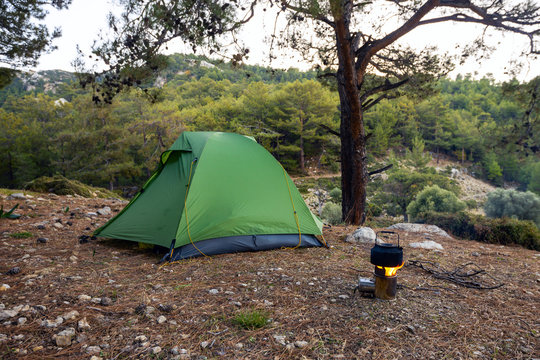 Tent on a glade among lush pines next to burner