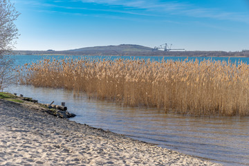 Neuseenland - Natur am Markkleeberger See - einem ehemaligen Tagebau - in der Nähe von Leipzig,...