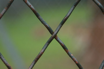 X-shaped enclosure
