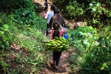 Girl Carrying a Bunch of Bananas through the Jungle of Chiapas, Mexico