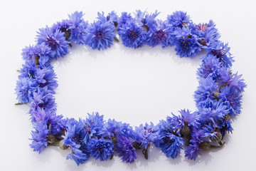 essential oil of cornflower on a white background