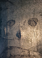 Trauriger Baum