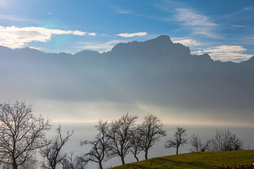 Mondsee schöne Landschaft mit dem See und Bäumen in Vordergrund