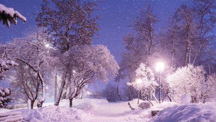 Beautiful winter night landscape of snow covered bench among snowy trees and shining lights during the snowfall. Artistic picture. Beauty world.