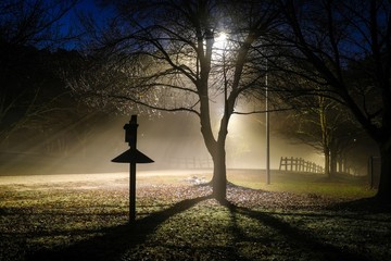 A silhouette of a birdhouse in front of the light beams of a street lamp on a dark foggy morning....