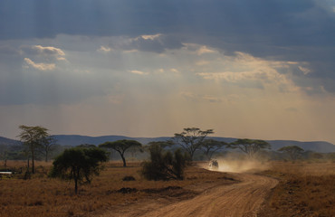 Driving safari cars on a winding road in the Serengeti National Park, Tanzania, Africa. Beautiful African Landscape sunset. Wide Savannah and plains