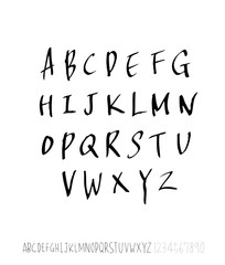 벡터 문자 / 손으로 쓴 글씨체