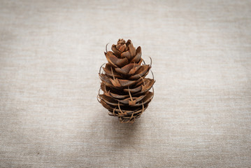 Christmas decoration whith Pine cone on the table