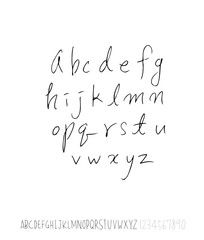 벡터 문자 / 손으로 쓴 글씨체