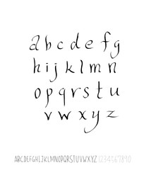 벡터 문자 / 손으로 쓴 글씨체