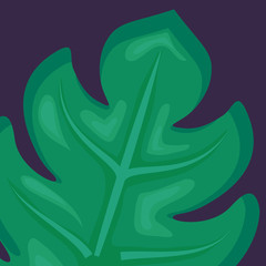 tropical leaves design