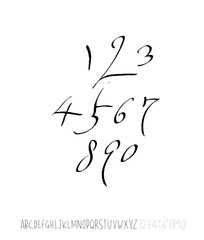 벡터 문자 / 손으로 쓴 글씨체