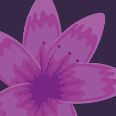 tropical flower icon