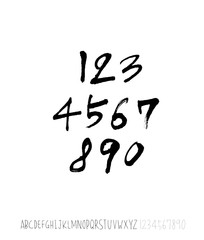 벡터 문자 / 손으로 쓴 글씨체