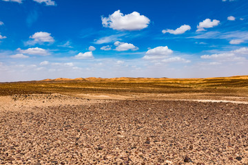 Black stoned desert in Merzouga Sahara near Erg Chebbi, Morocco in Africa