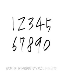 벡터 문자 / 손으로 쓴 글씨체