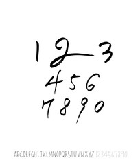 벡터 문자 / 손으로 쓴 글씨체