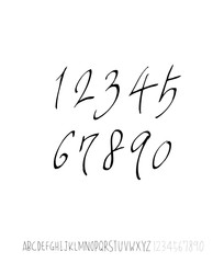 벡터 문자 / 손으로 쓴 글씨체