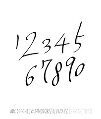 벡터 문자 / 손으로 쓴 글씨체