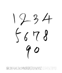 벡터 문자 / 손으로 쓴 글씨체