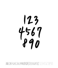 벡터 문자 / 손으로 쓴 글씨체