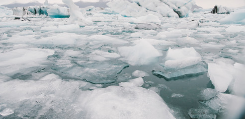 Glacier lake full of large blocks of ice.